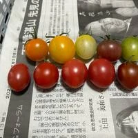 画像233