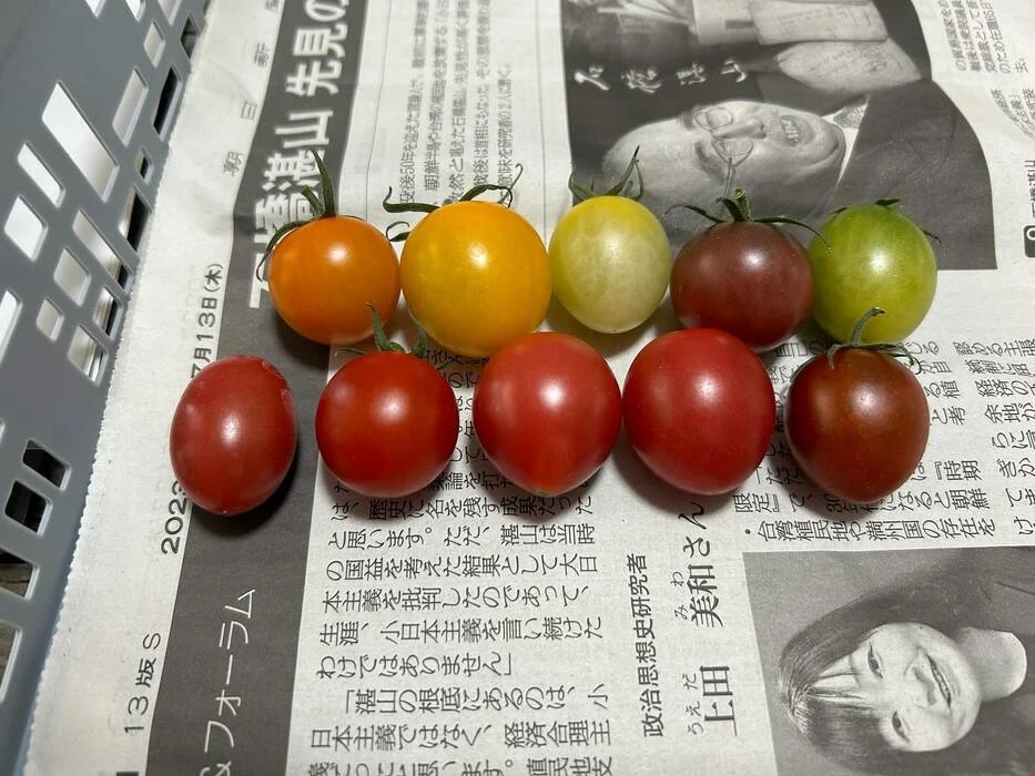 画像233